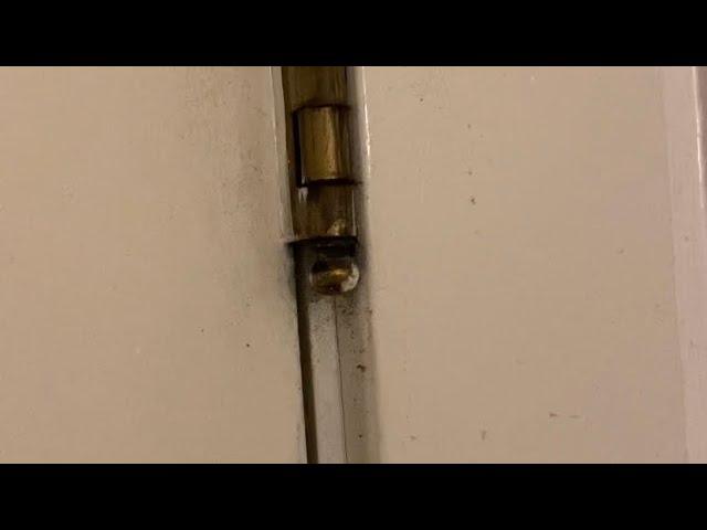 Squeaky Door Hinge