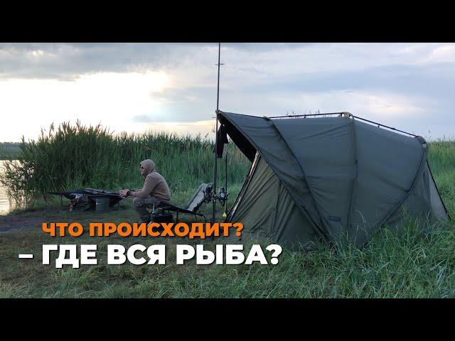 ПОЧЕМУ НЕ КЛЮЕТ? | МЕРТВЫЕ ЗОНЫ | ГДЕ КАРП?