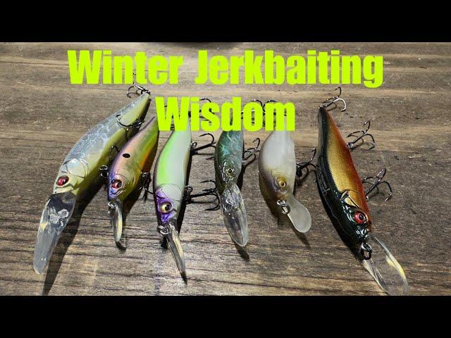 Advanced WINTER Jerkbait Fishing Techniques And Approaches