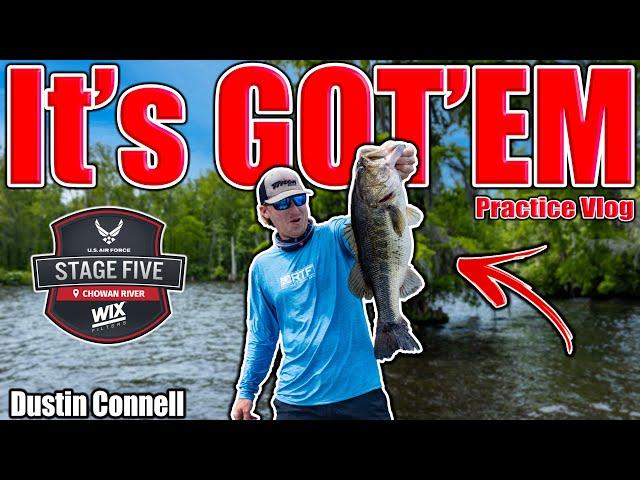 This Place has GOT THEM! - MLF Stage 5 Chowan River - Practice Vlog