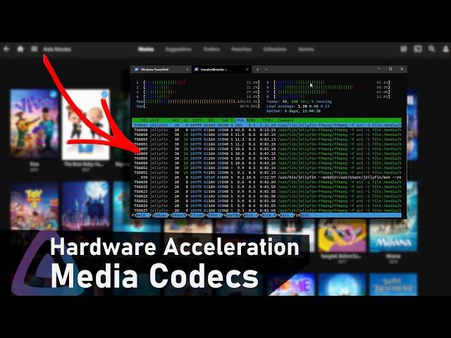 ULTIMATE Jellyfin Guide - Hardware Acceleration, Codecs (PART 2)