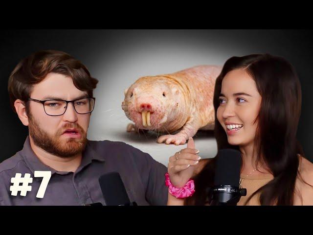 World's Weirdest: Can Naked Mole Rats Survive Without Oxygen?