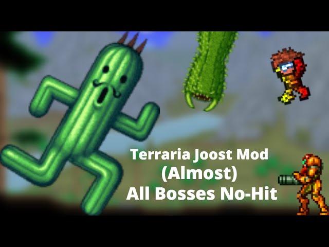 Terraria Modded || Joost Mod (Almost) All Bosses No-Hit