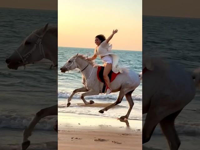 Beach ride Dubai #horsebackriding #dubailife #horse #horselover #dubai #beach #horseride