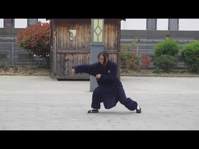 Wudang Kung Fu - Mantis, Dragon and Snake Forms