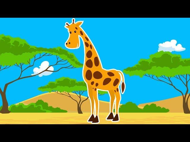 Дикие Животные Африки. Про Жирафа Мультик для Детей.Развивающий Мультфильм. Дикие Животные для Детей