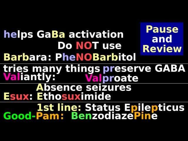 Epilepsy drugs: Seizure Medications: Benzodiazepine, Phenobarbitol, Ethosuximide, Valproate