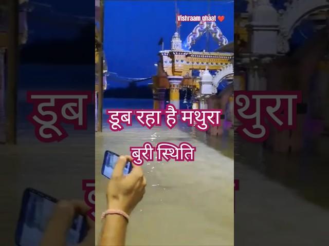 Mathura Vrindavan Flood ||  Yamuna River  vishraam Ghat #shorts #viral #flood #mathura #vrindavan