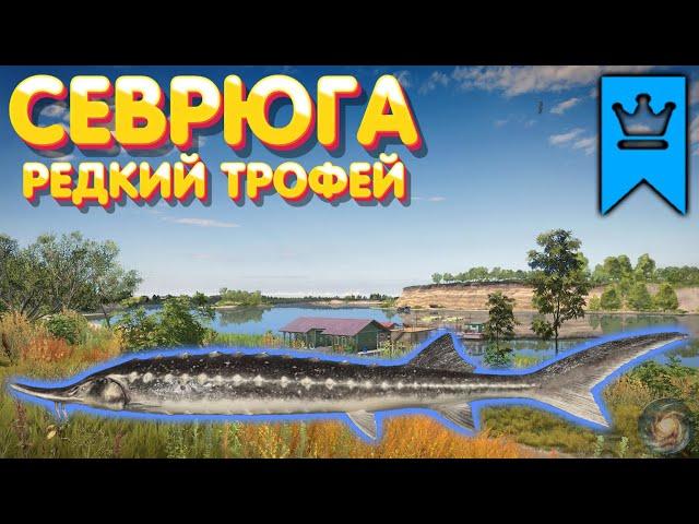 Севрюга РЕДКИЙ ТРОФЕЙ | р. Ахтуба | Русская Рыбалка 4