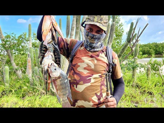 24 hours FISHING for fresh water Fish Catch clean and cook