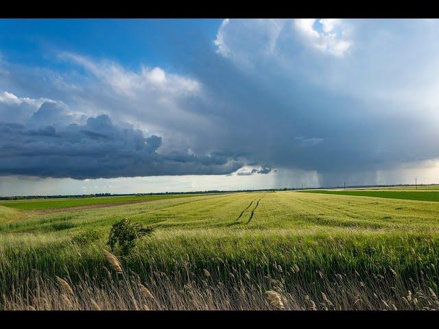 Die Ruhe vor dem Sturm neigt sich dem Ende zu!  Jetzt geht's ans Eingemachte! 