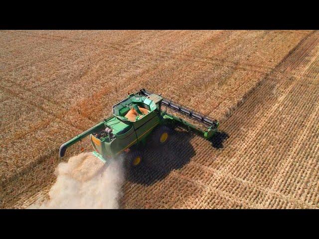 Final Acres Of Wheat | Our 2021 Australian Wheat Harvest Is Almost Over