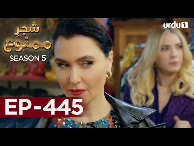 Shajar-e-Mamnu | Episode 445 | Turkish Drama  | Forbidden Fruit | Urdu Dubbing | 24 August 2022