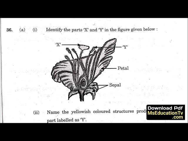 CBSE Class 10 Science Question Paper 2025 | CBSE Science Annual Exam Paper 2025 Class 10