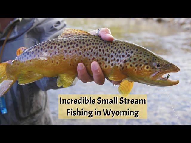 Wind River Wyoming - Trout Paradise