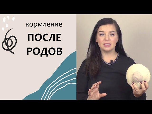 Что ждёт после родов. Выпуск 54. Грудное вскармливание