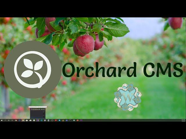 Building an Orchard Core Theme