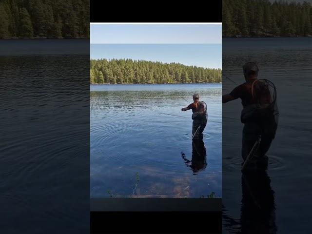 The sound of #summer #fishing #birds #coffee #outdoors #adventure