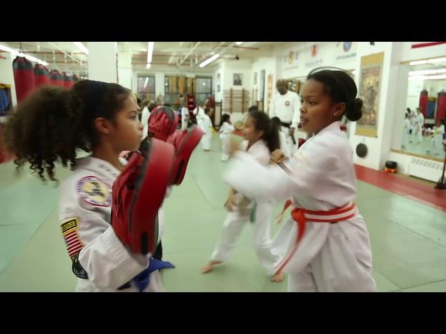 World Martial Arts Center Children's HapKiDo