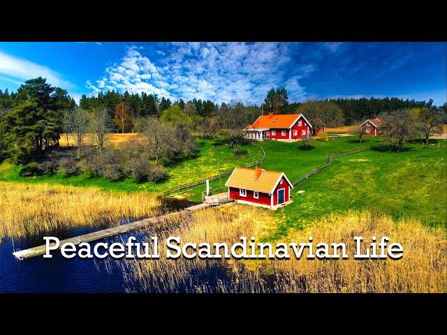 Someone Really Lives Here || What To See And Do in Sweden || Sweden