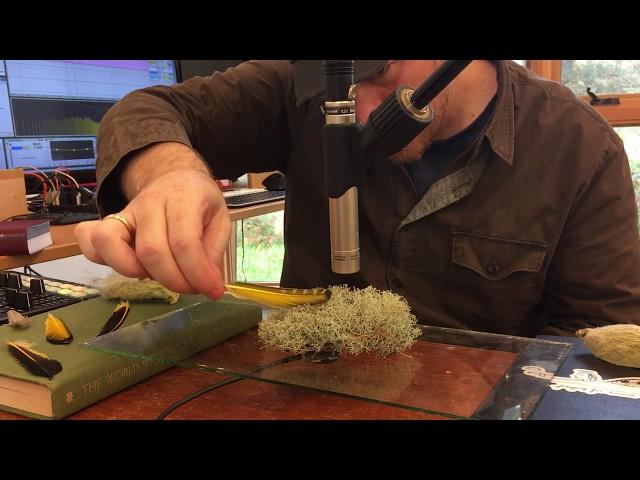 I-Park Moss and Feather Demo