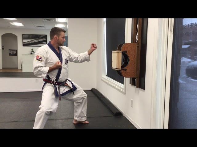 Tang Soo Do Reverse Punch