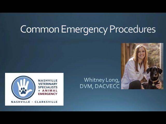 Common Emergency Procedures in Veterinary Medicine