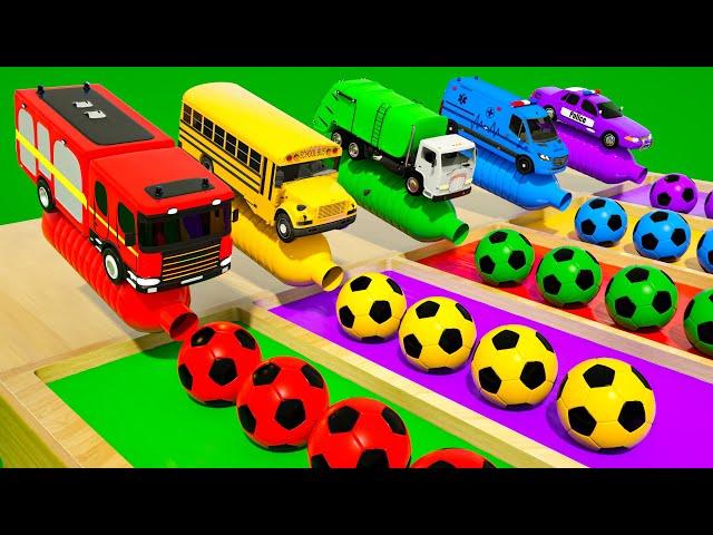 Wheels on the Bus + Bingo Song | Color Bottles and Cars in Pools | Baby Nursery Rhymes & Kids Songs