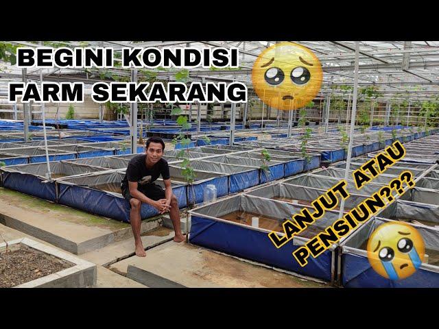 KONDISI FARM SEKARANG 