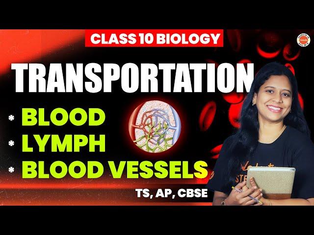 Transportation | * BLOOD *LYMPH * BLOOD VESSELS | Class 10 TS, AP, CBSE SSC Biology 2025 | Sunaina