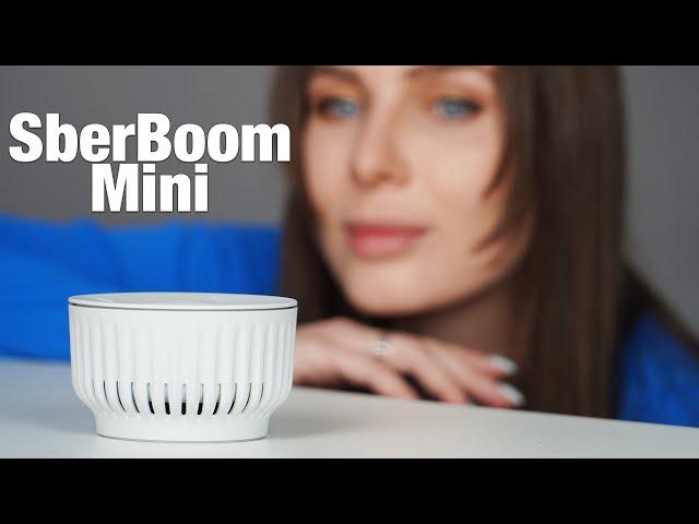 Салют, что ты умеешь? Обзор новинки SberBoom Mini. Обзор, распаковка, первое впечатление