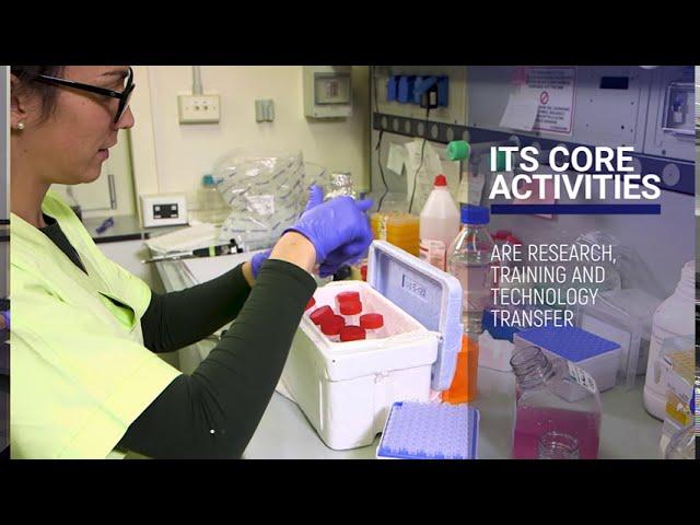 ICGEB - International Centre for Genetic Engineering and Biotechnology - Overview