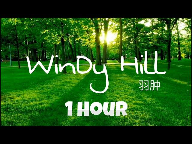 【1 Hour】 WINDY HILL - 羽肿