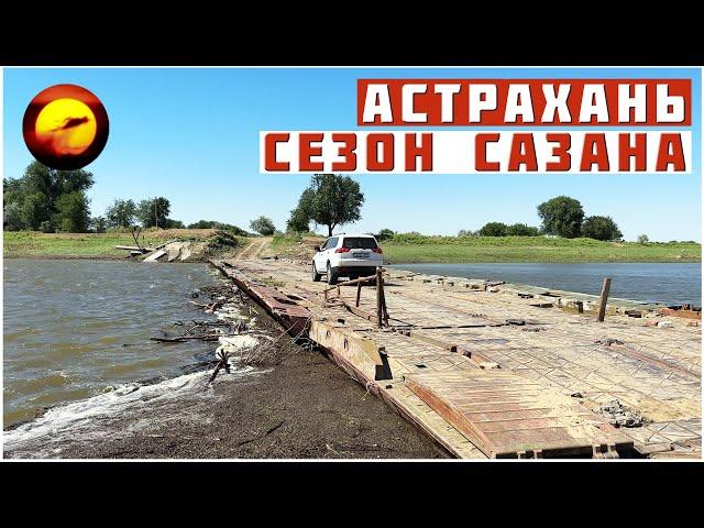 Рыбалка! СЕЗОН САЗАНА / Астрахань, Отдых Дикарями