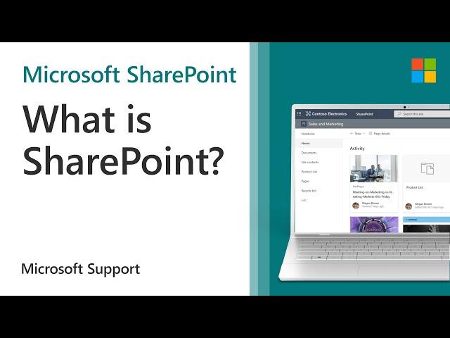 How to use SharePoint | Microsoft