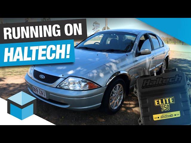 Firing on a Haltech! Ford AU Fairmont Ghia Turbo Project Part 2 - Base Map & Road Tune!