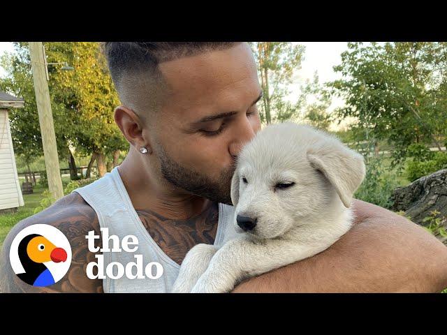 Tiny Puppy Leads Rescuer To Her Siblings | The Dodo