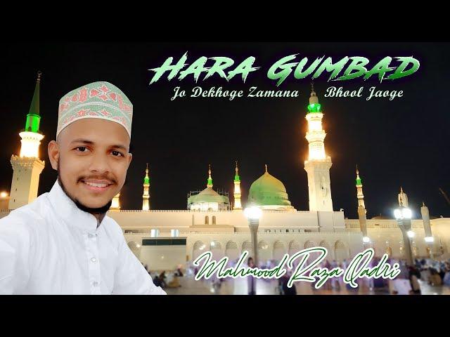 New Naat 2020 | Hara Gumbad Jo Dekhoge Zamana Bhool Jaoge | Mahmood Raza Qadri | Official Video |