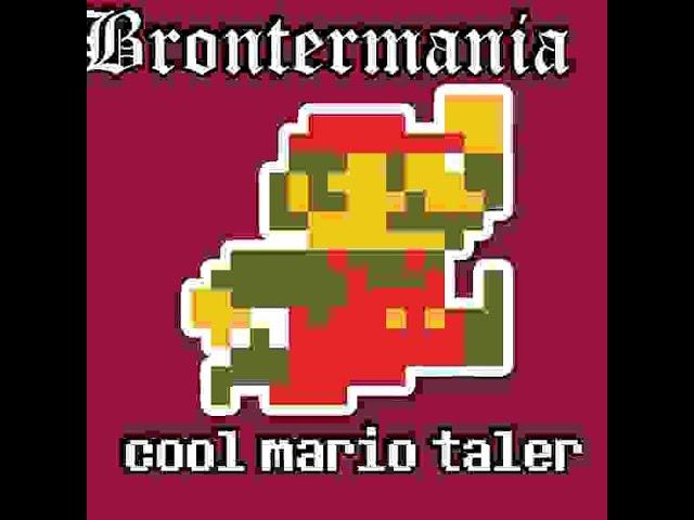 cool mario brothers tale - BROTHERLOVANIA (Cover)