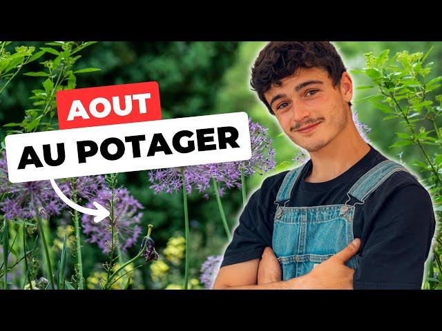 LE POTAGER DU MOIS D'AOUT - Beaucoup de récoltes !