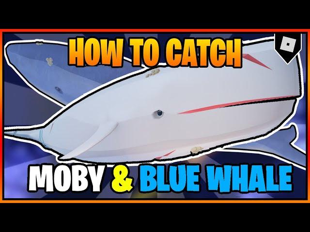 (FULL GUIDE) How to catch the SECRET MOBY and BLUE WHALE in Fisch