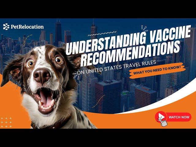 Understanding vaccine recommendation when relocating your pet! #pettravel #petrelocation