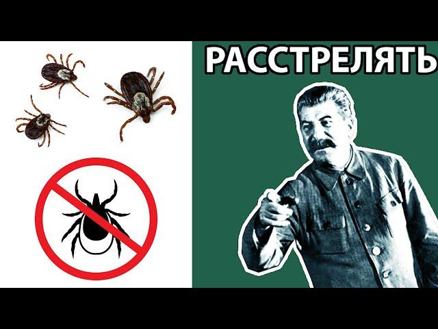 Почему в СССР не было КЛЕЩЕЙ?