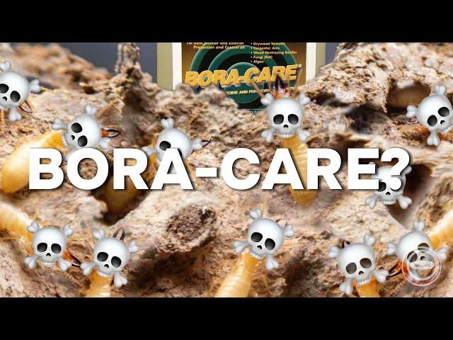 Bora-Care: The Ultimate Termite Treatment and Preventative - Product Review by Crawl Space Ninja