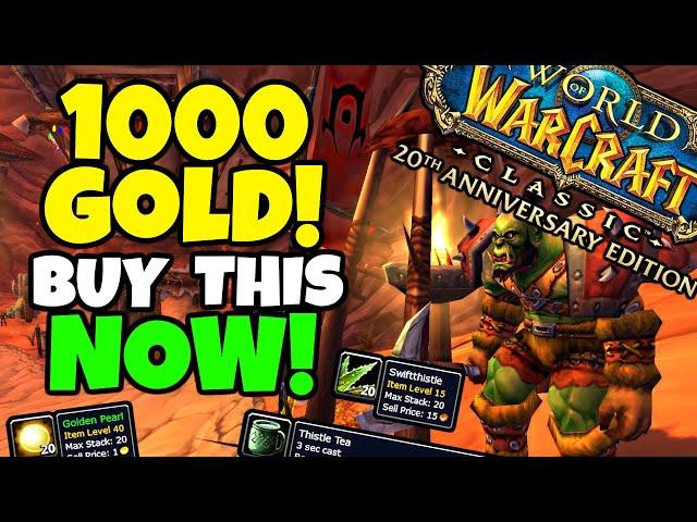 My 1000 Gold Investment in FRESH Classic WoW & How I Expect To Make HUGE GOLD!