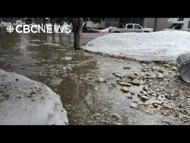 Water main breaks from freeze-thaw cycle cause headaches for Sask. homeowners