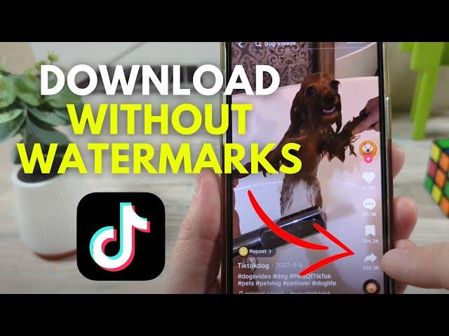 How To Download TikTok Videos Without Watermark On iPhone (Fastest Way)