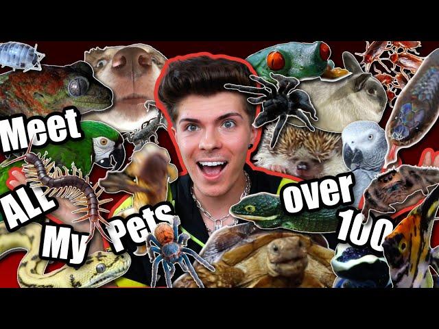 MEET ALL OF MY PETS!!! *2021* (I have over 100 animals)