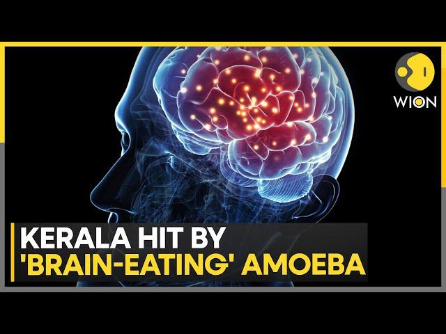 India: Brain-eating Amoeba kills 3 in Kerala, found in waters in warm climates | India News | WION