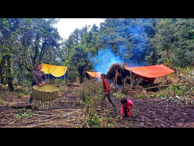 Living in Harmony with Nature: An Organic Mountain Village Journey | Karnali Nepal video by IamSuman